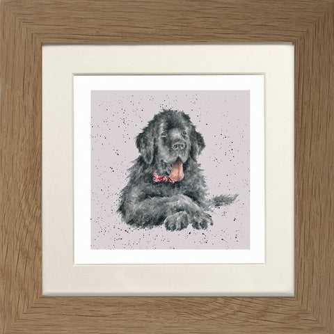 Wrendale - Framed Greeting Cards - A Dog's Life - Collection 3