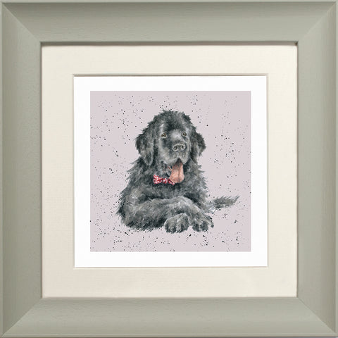 Wrendale - Framed Greeting Cards - A Dog's Life - Collection 3