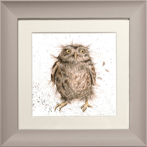 Wrendale - Framed Greeting Cards - The Country Set - Collection 1