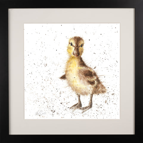 Wrendale - Framed Collectors' Prints - Collection 1