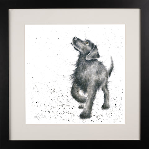 Wrendale - Framed Collectors' Prints - Collection 1