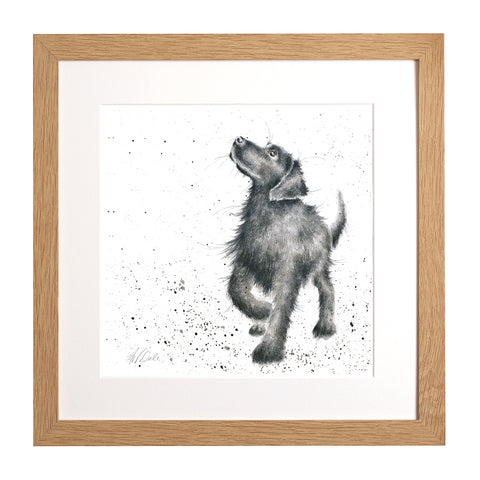 Wrendale - Framed Collectors' Prints - Collection 1