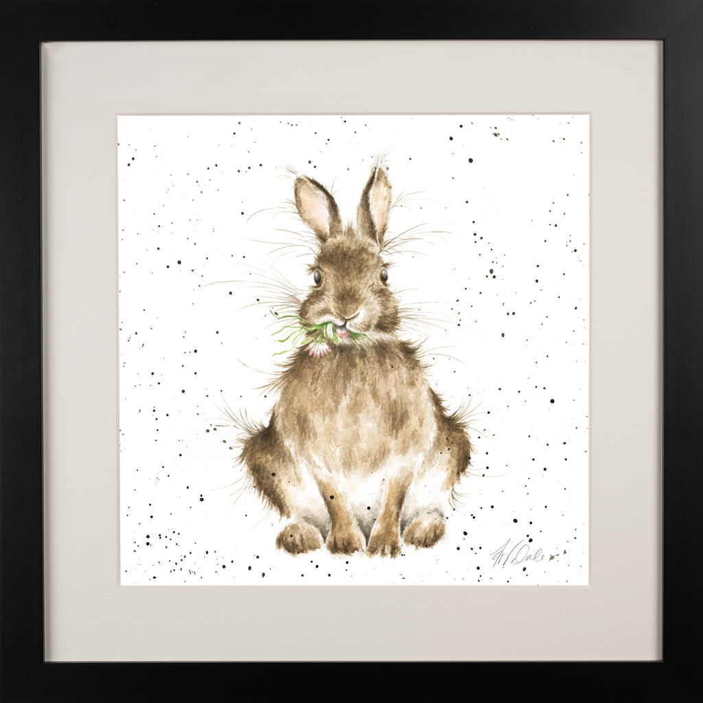 Wrendale - Framed Collectors' Prints - Collection 1