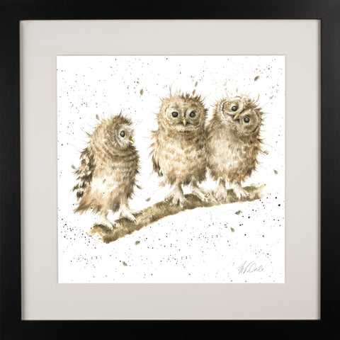 Wrendale - Framed Collectors' Prints - Collection 2