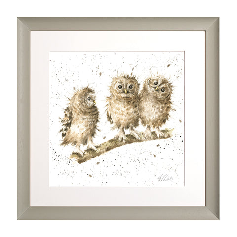 Wrendale - Framed Collectors' Prints - Collection 2