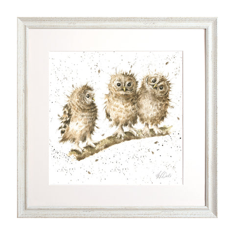 Wrendale - Framed Collectors' Prints - Collection 2