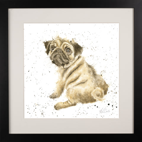 Wrendale - Framed Collectors' Prints - Collection 2