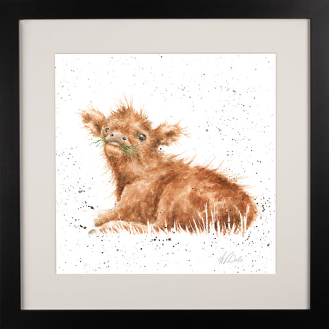 Wrendale - Framed Collectors' Prints - Collection 2