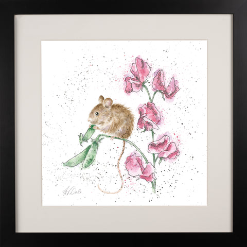 Wrendale - Framed Collectors' Prints - Collection 3