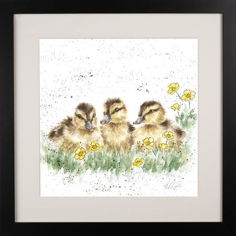 Wrendale - Framed Collectors' Prints - Collection 3