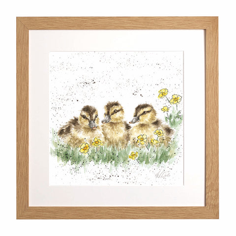 Wrendale - Framed Collectors' Prints - Collection 3