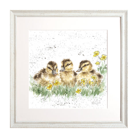 Wrendale - Framed Collectors' Prints - Collection 3