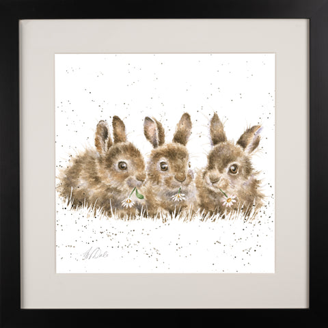 Wrendale - Framed Collectors' Prints - Collection 3