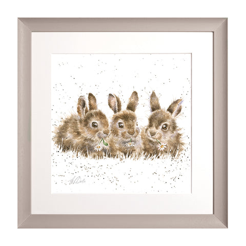 Wrendale - Framed Collectors' Prints - Collection 3