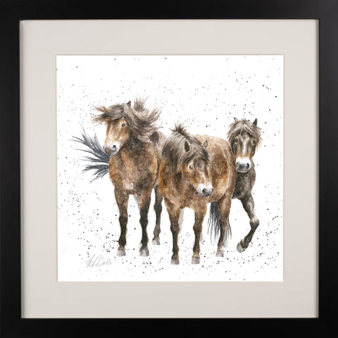 Wrendale - Framed Collectors' Prints - Collection 3