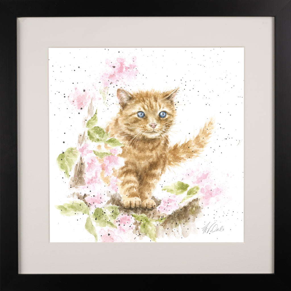 Wrendale - Framed Collectors' Prints - Collection 3