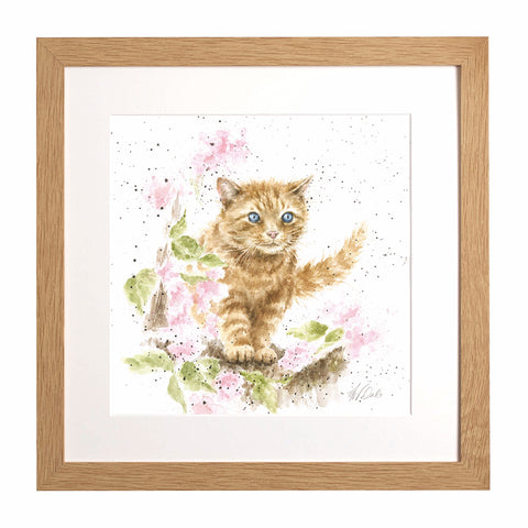 Wrendale - Framed Collectors' Prints - Collection 3