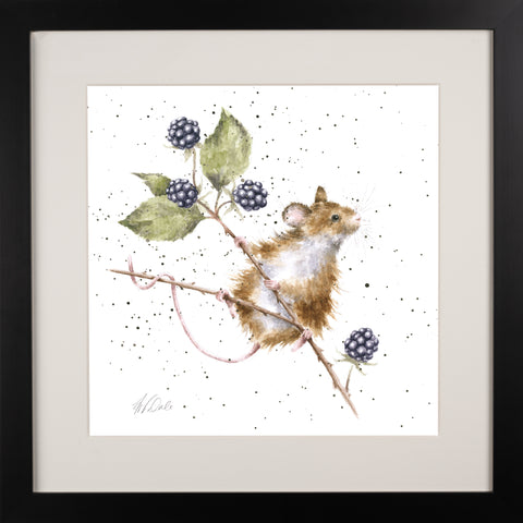 Wrendale - Framed Collectors' Prints - Collection 4