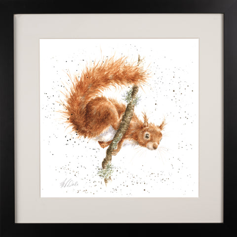 Wrendale - Framed Collectors' Prints - Collection 4