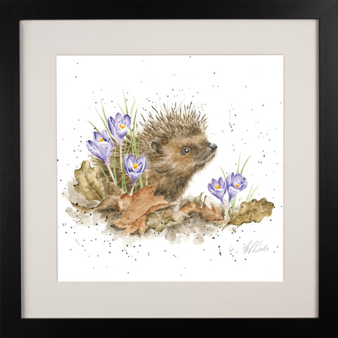 Wrendale - Framed Collectors' Prints - Collection 5