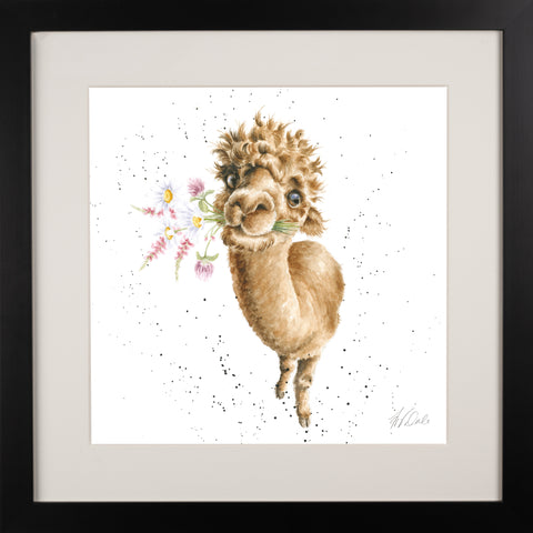 Wrendale - Framed Collectors' Prints - Collection 6