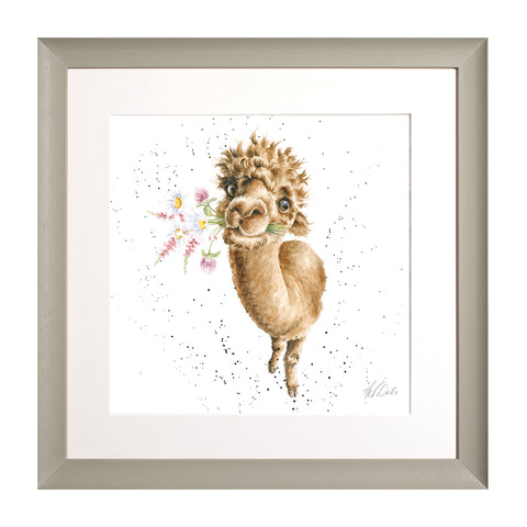 Wrendale - Framed Collectors' Prints - Collection 6