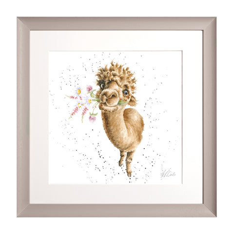 Wrendale - Framed Collectors' Prints - Collection 6