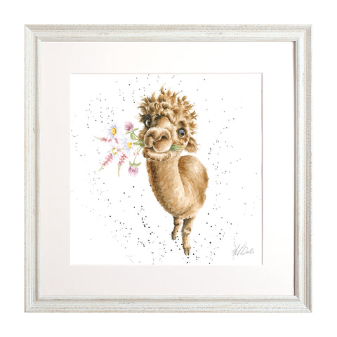 Wrendale - Framed Collectors' Prints - Collection 6