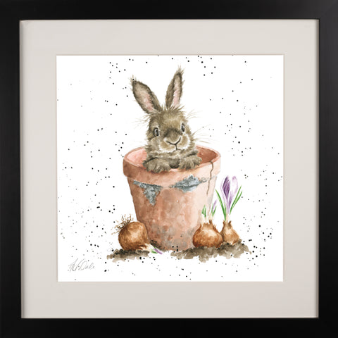 Wrendale - Framed Collectors' Prints - Collection 6