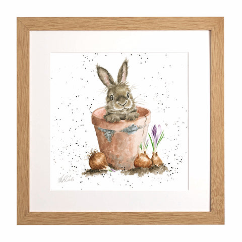 Wrendale - Framed Collectors' Prints - Collection 6