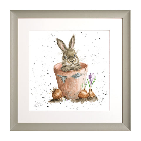 Wrendale - Framed Collectors' Prints - Collection 6