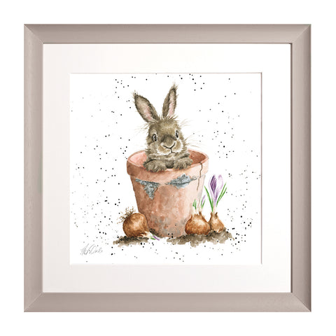 Wrendale - Framed Collectors' Prints - Collection 6