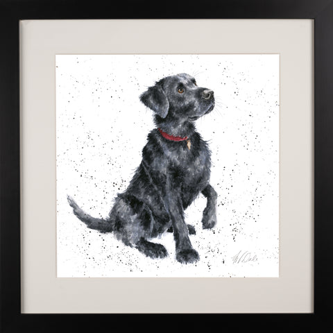 Wrendale - A Dog's Life -  Framed Collectors' Prints - Collection 1