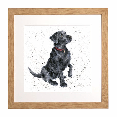 Wrendale - A Dog's Life -  Framed Collectors' Prints - Collection 1