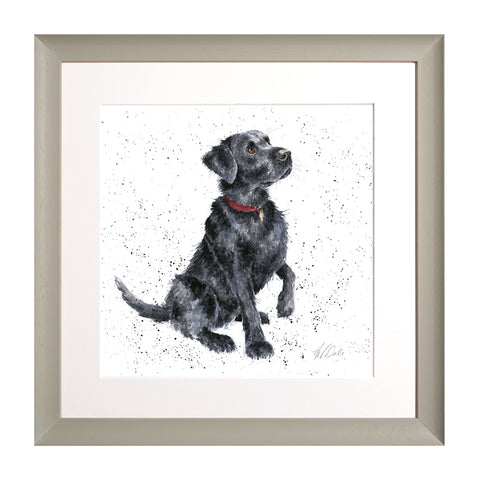 Wrendale - A Dog's Life -  Framed Collectors' Prints - Collection 1