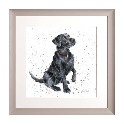 Wrendale - A Dog's Life -  Framed Collectors' Prints - Collection 1