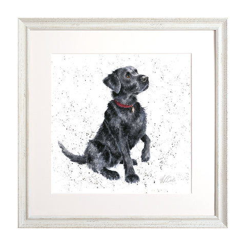 Wrendale - A Dog's Life -  Framed Collectors' Prints - Collection 1