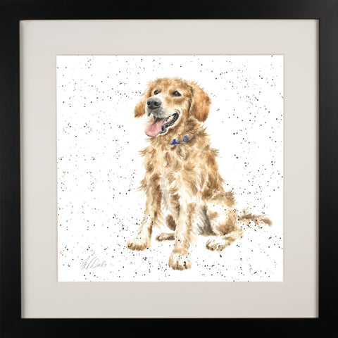 Wrendale - A Dog's Life -  Framed Collectors' Prints - Collection 1