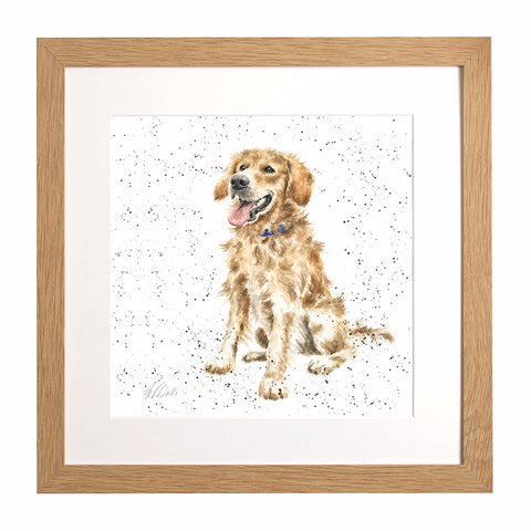 Wrendale - A Dog's Life -  Framed Collectors' Prints - Collection 1