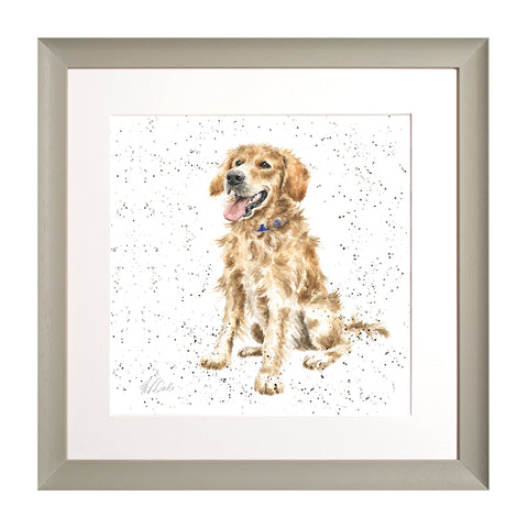 Wrendale - A Dog's Life -  Framed Collectors' Prints - Collection 1