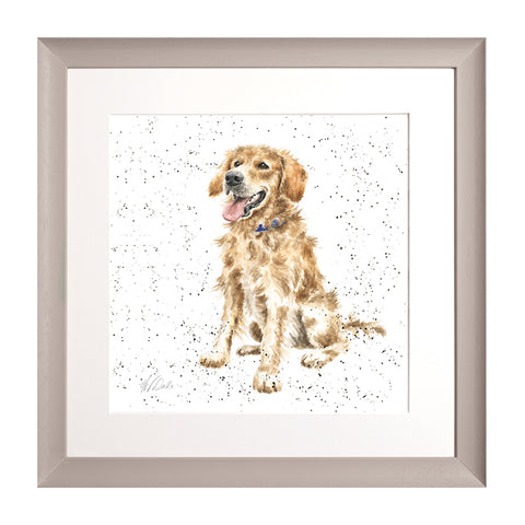 Wrendale - A Dog's Life -  Framed Collectors' Prints - Collection 1