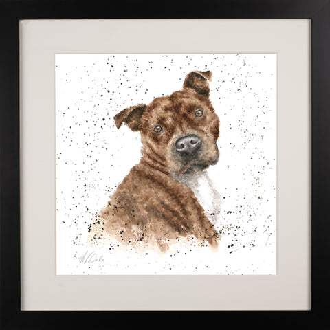 Wrendale - A Dog's Life -  Framed Collectors' Prints - Collection 1