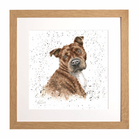 Wrendale - A Dog's Life -  Framed Collectors' Prints - Collection 1