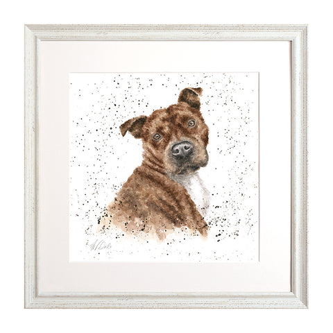 Wrendale - A Dog's Life -  Framed Collectors' Prints - Collection 1