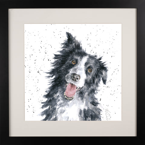 Wrendale - A Dog's Life - Framed Collectors' Prints - Collection 2