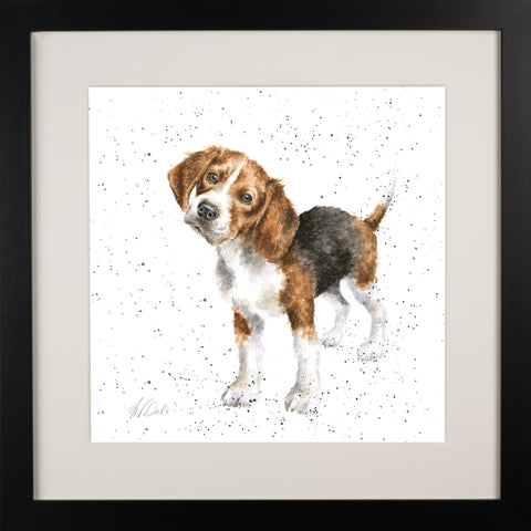 Wrendale - A Dog's Life - Framed Collectors' Prints - Collection 2