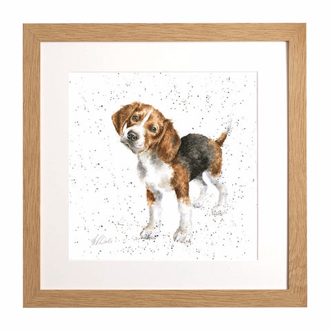 Wrendale - A Dog's Life - Framed Collectors' Prints - Collection 2
