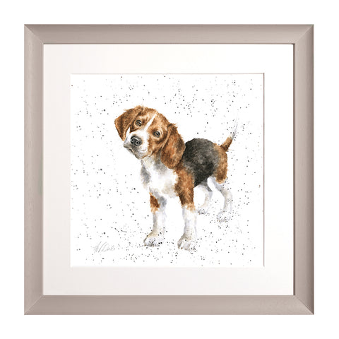 Wrendale - A Dog's Life - Framed Collectors' Prints - Collection 2