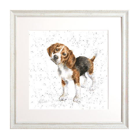 Wrendale - A Dog's Life - Framed Collectors' Prints - Collection 2