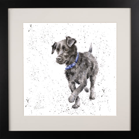 Wrendale - A Dog's Life - Framed Collectors' Prints - Collection 2